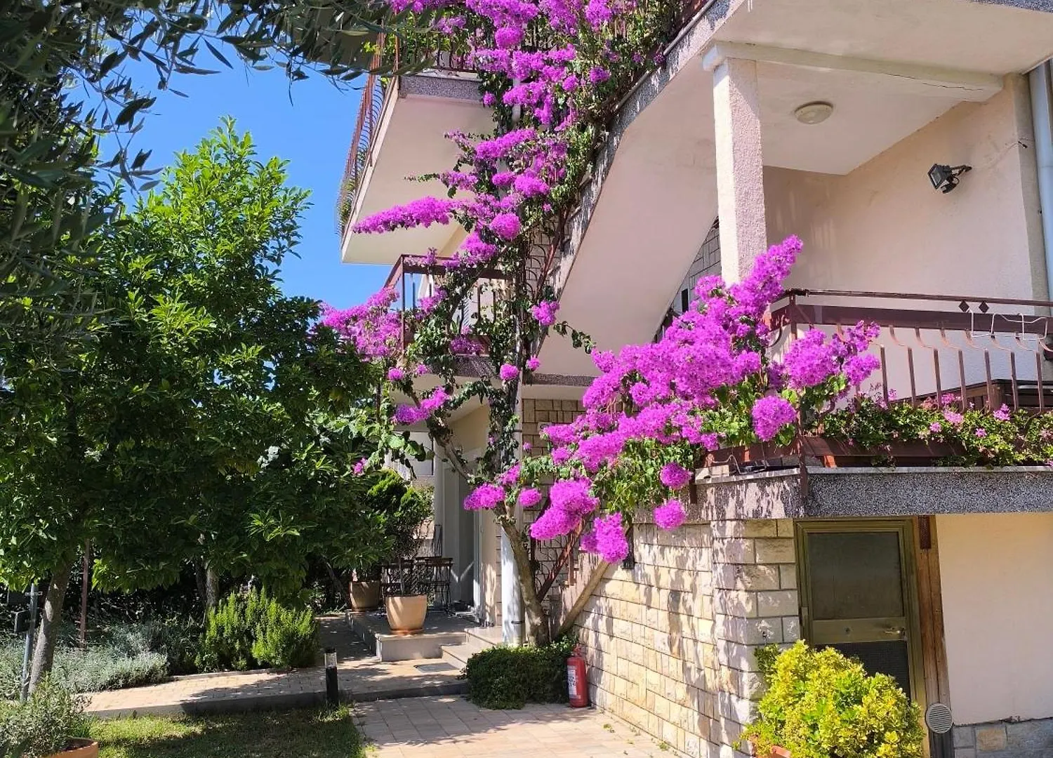 Apartments Lirio Umag