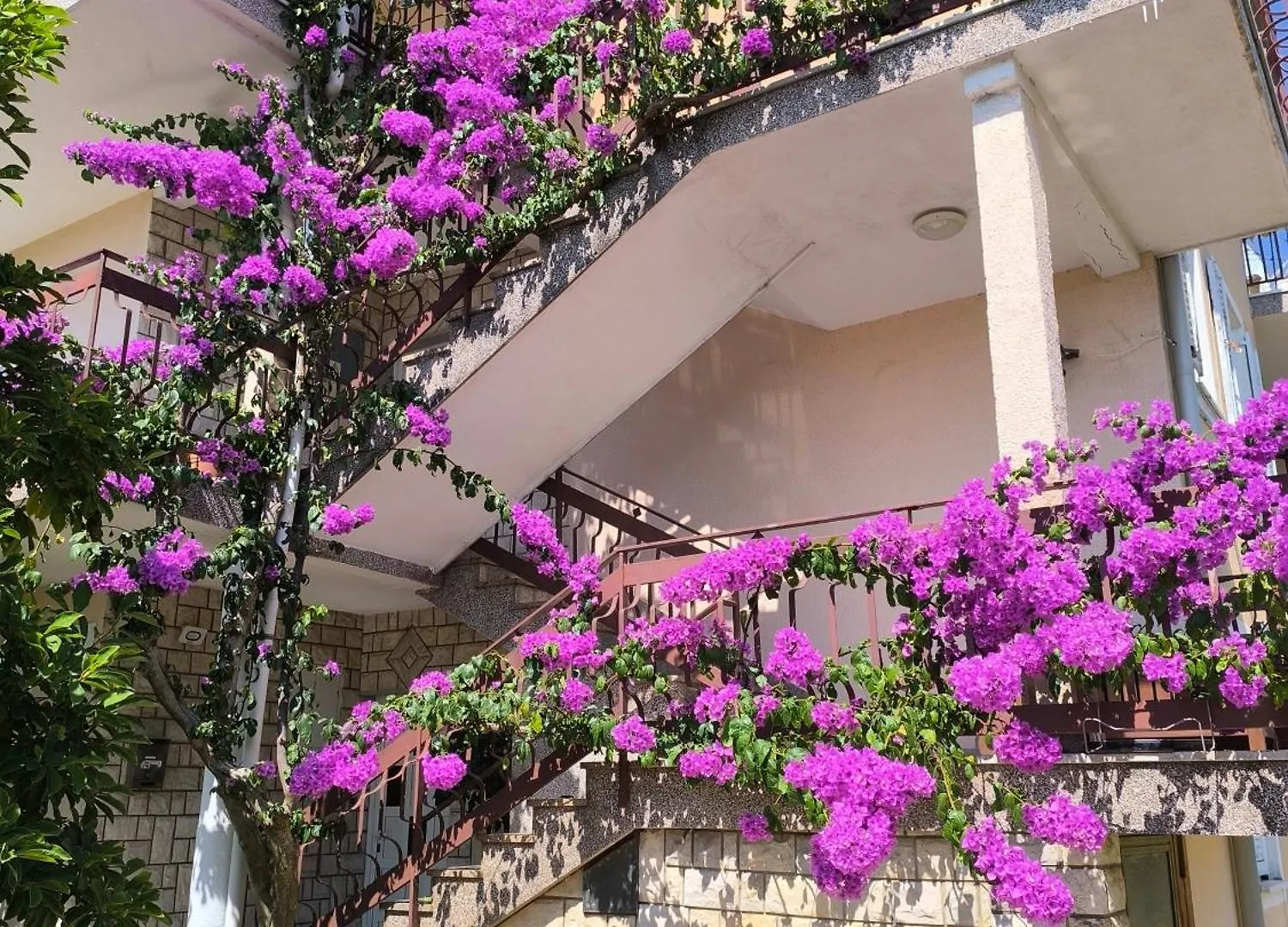 Apartments Lirio Umag Croatia